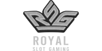 Visa partner logo